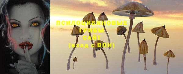 ALPHA-PVP Заводоуковск