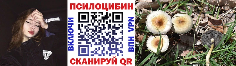 Купить где Калининск Галлюциногенные грибы мухоморы